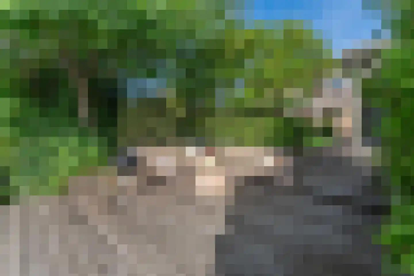 Seyndersloot 11 Enkhuizen thumbnail 58