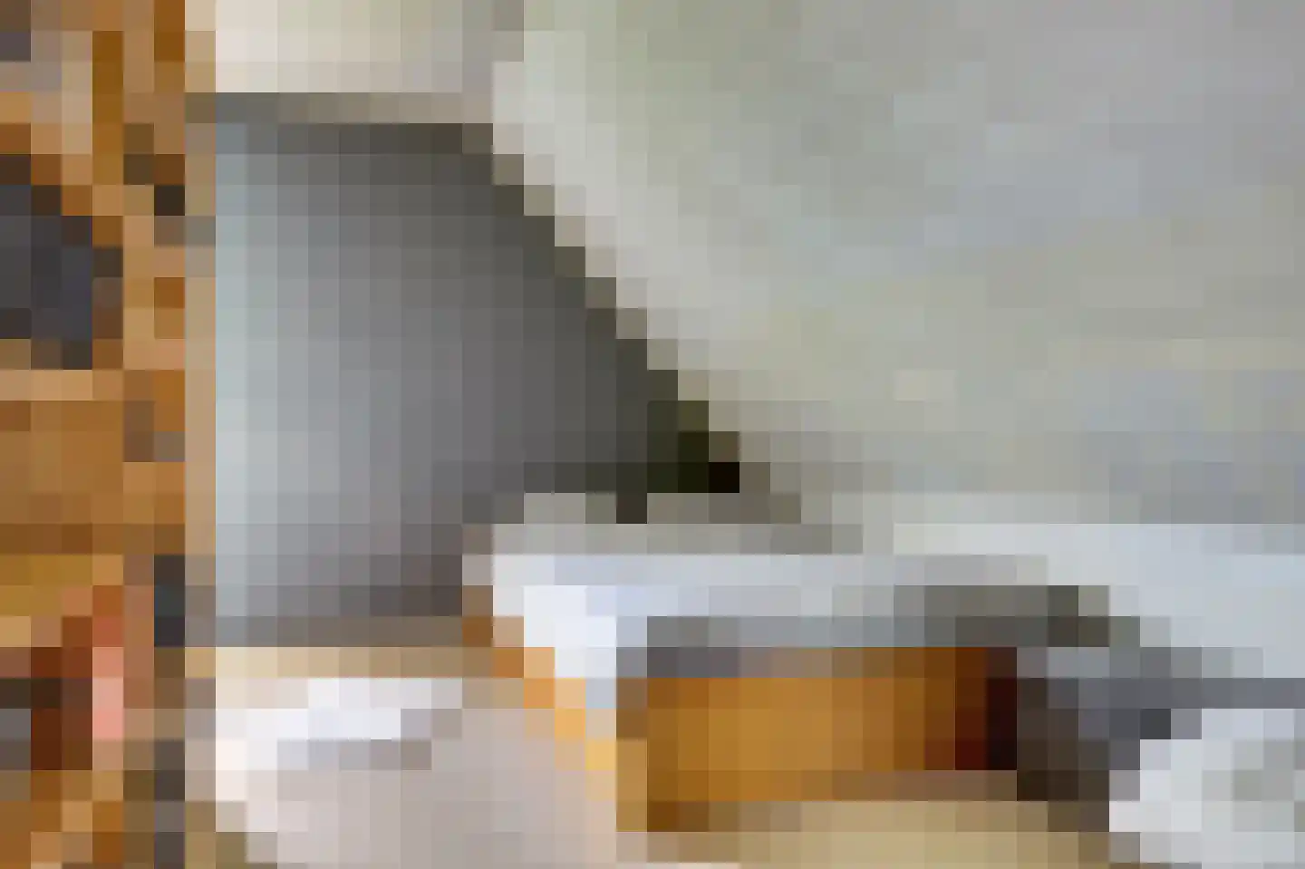 Seyndersloot 5 Enkhuizen thumbnail 34