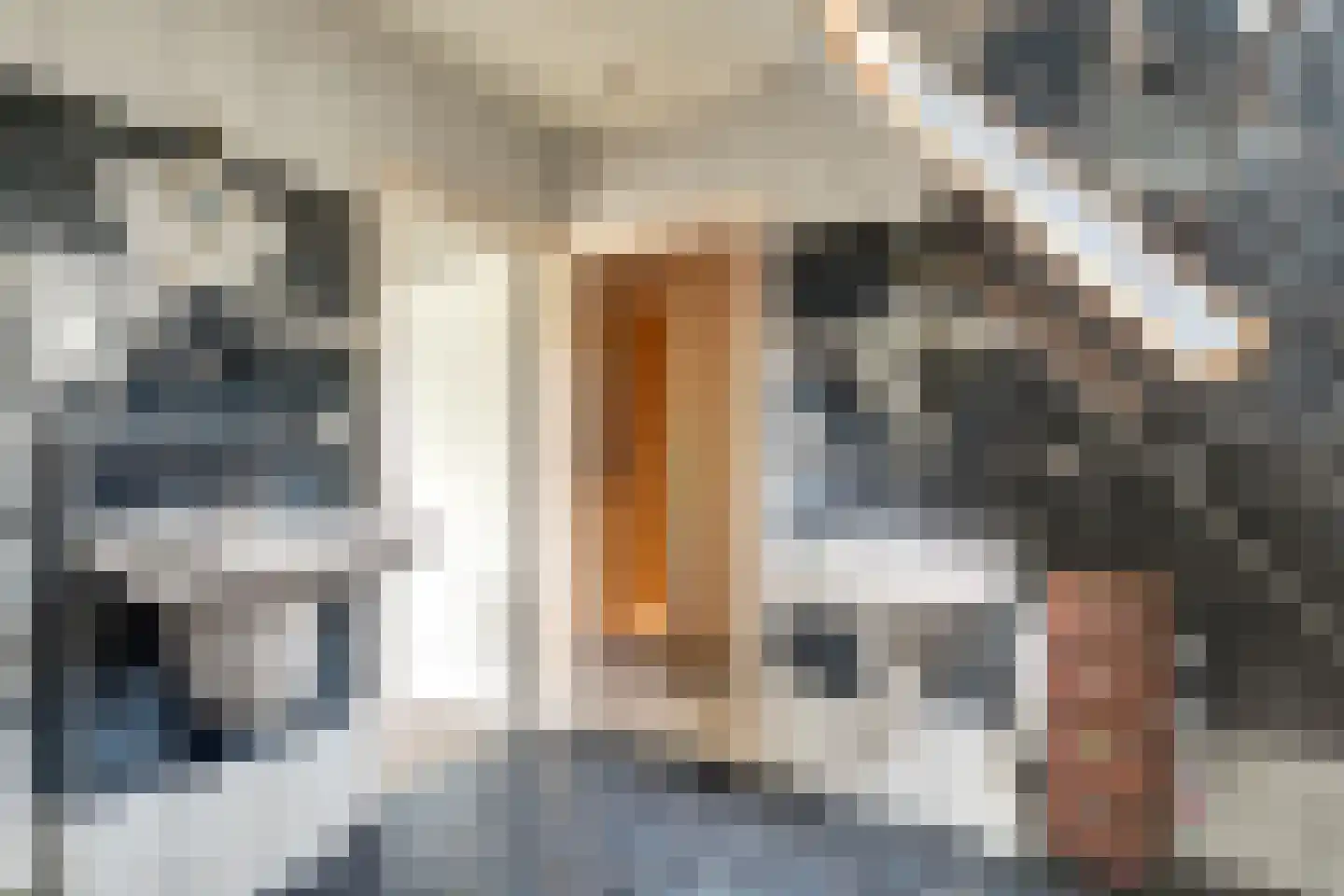Seyndersloot 5 Enkhuizen thumbnail 37