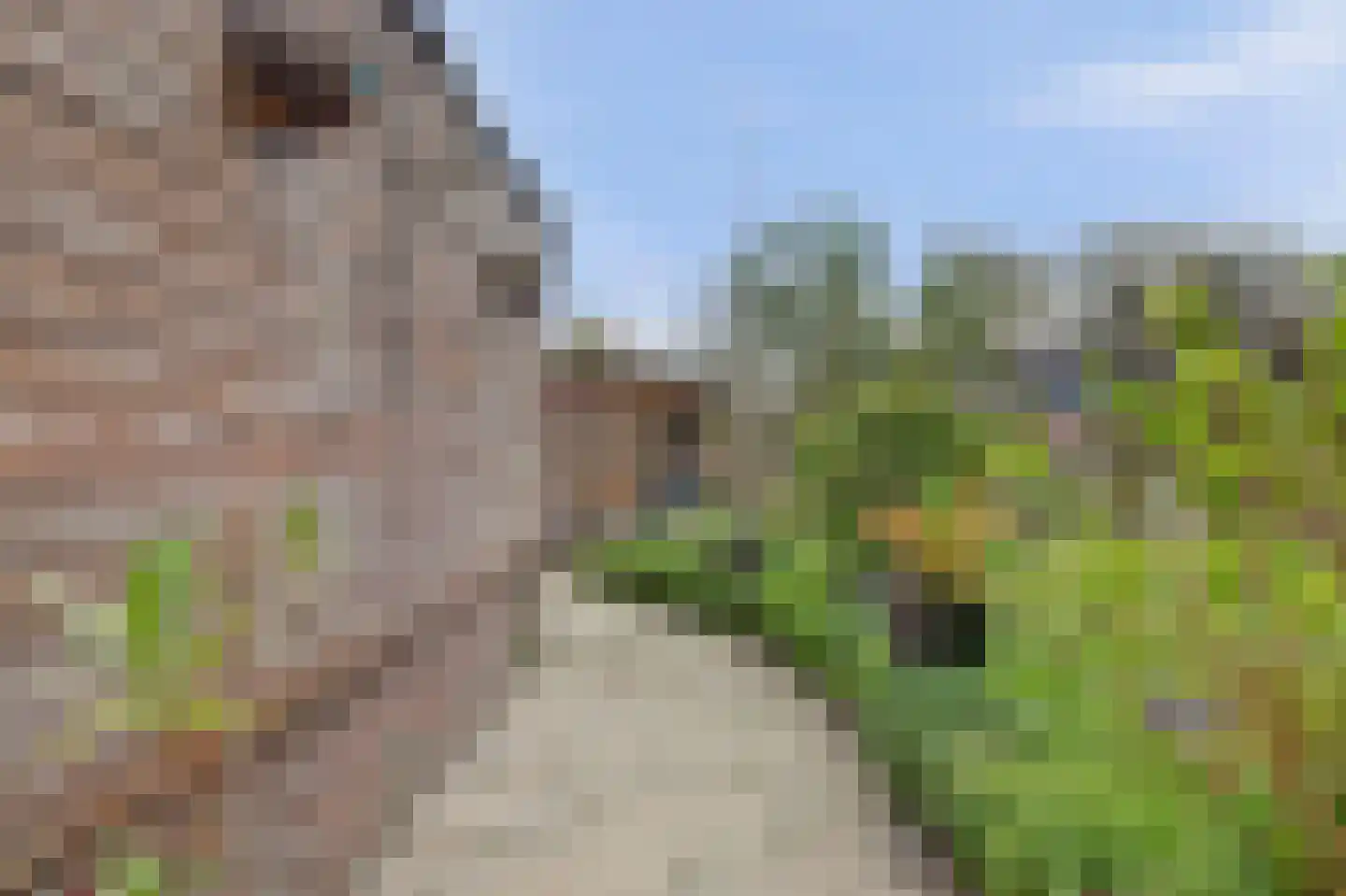 Seyndersloot 5 Enkhuizen thumbnail 45