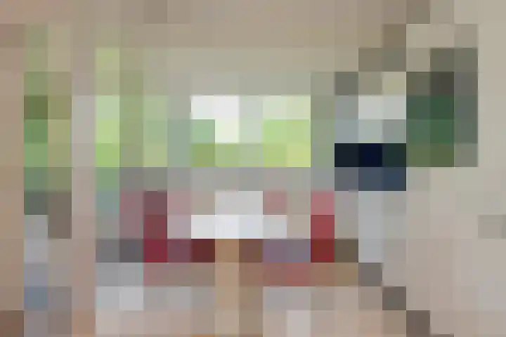 Seytweg 35 Arnhem thumbnail 19