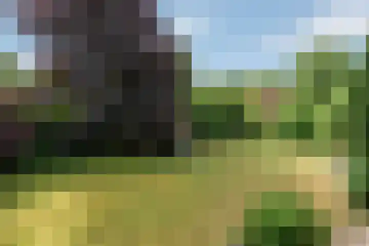 Seytweg 35 Arnhem thumbnail 38
