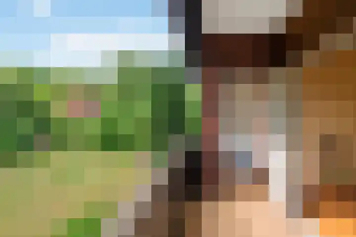 Seytweg 35 Arnhem thumbnail 39