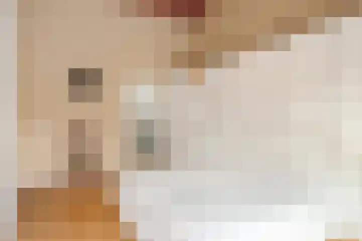Seytweg 35 Arnhem thumbnail 40