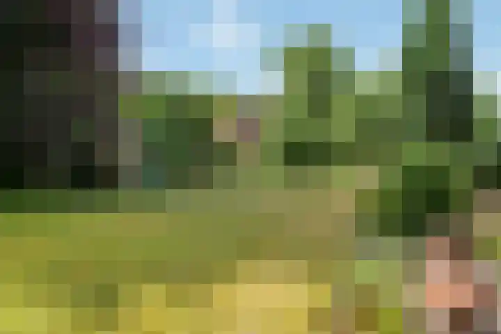 Seytweg 35 Arnhem thumbnail 54