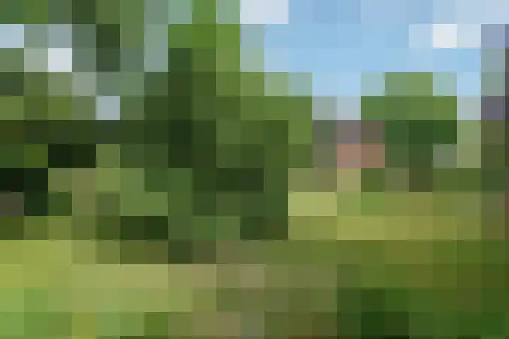 Seytweg 35 Arnhem thumbnail 55