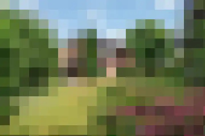 Seytweg 35 Arnhem thumbnail 56