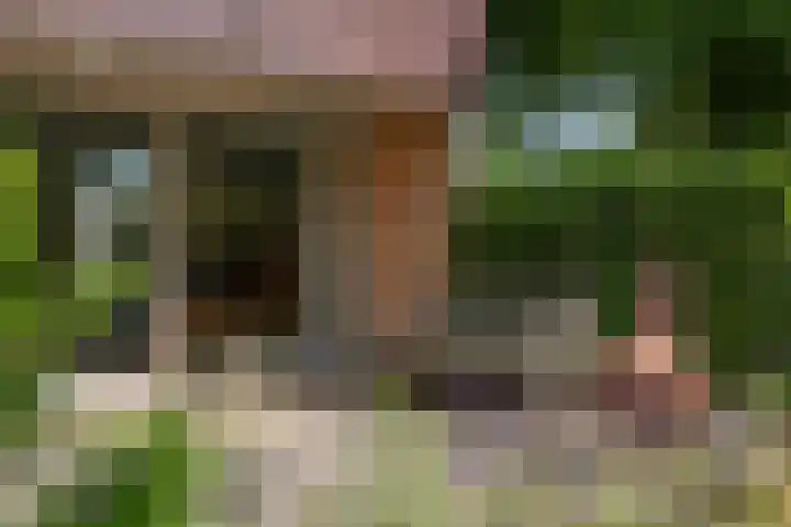 Seytweg 35 Arnhem thumbnail 59