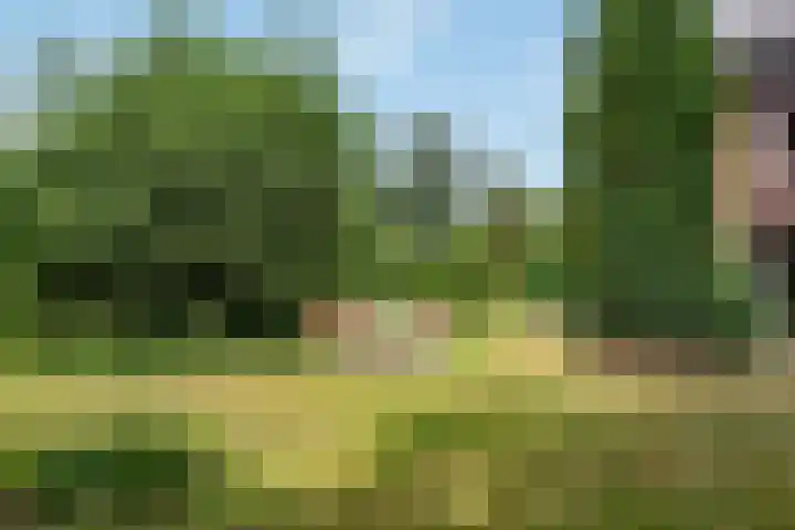Seytweg 35 Arnhem thumbnail 60