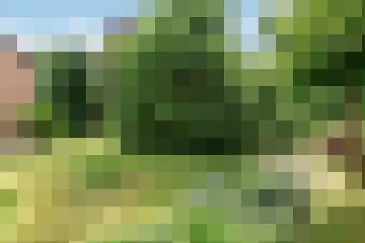 Seytweg 35 Arnhem thumbnail 62