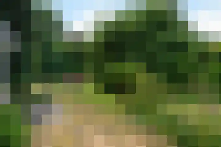 Seytweg 35 Arnhem thumbnail 63