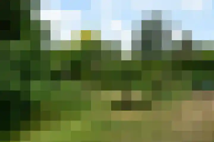 Seytweg 35 Arnhem thumbnail 64