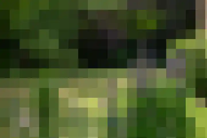 Seytweg 35 Arnhem thumbnail 65