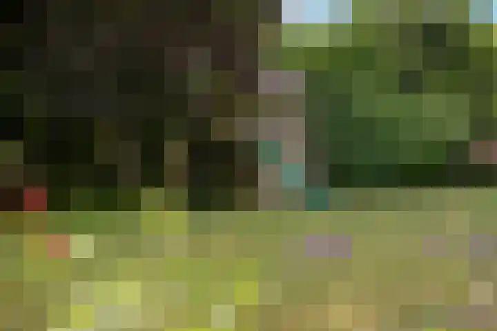 Seytweg 35 Arnhem thumbnail 66