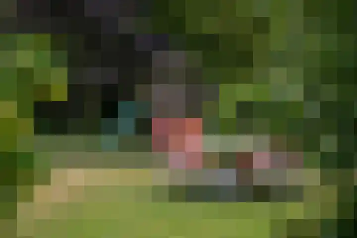 Seytweg 35 Arnhem thumbnail 67