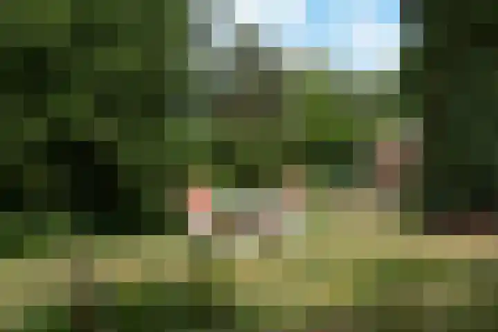 Seytweg 35 Arnhem thumbnail 68