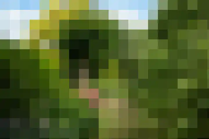 Seytweg 35 Arnhem thumbnail 69