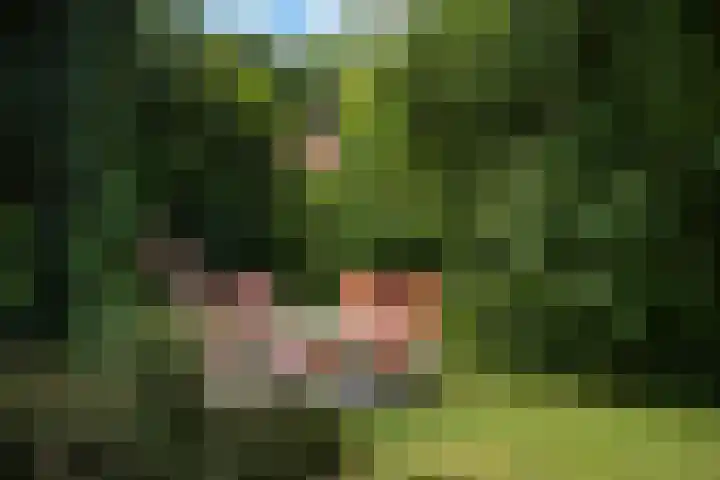 Seytweg 35 Arnhem thumbnail 70