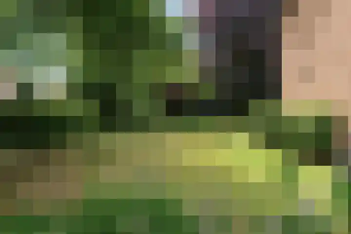 Seytweg 35 Arnhem thumbnail 71