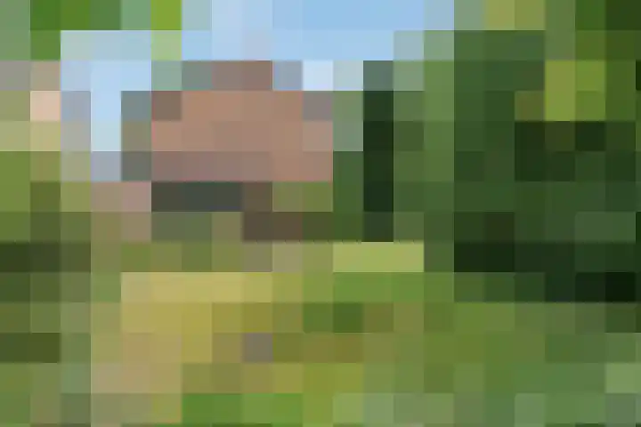 Seytweg 35 Arnhem thumbnail 72