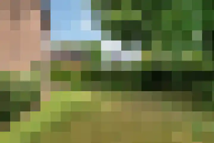 Seytweg 35 Arnhem thumbnail 73