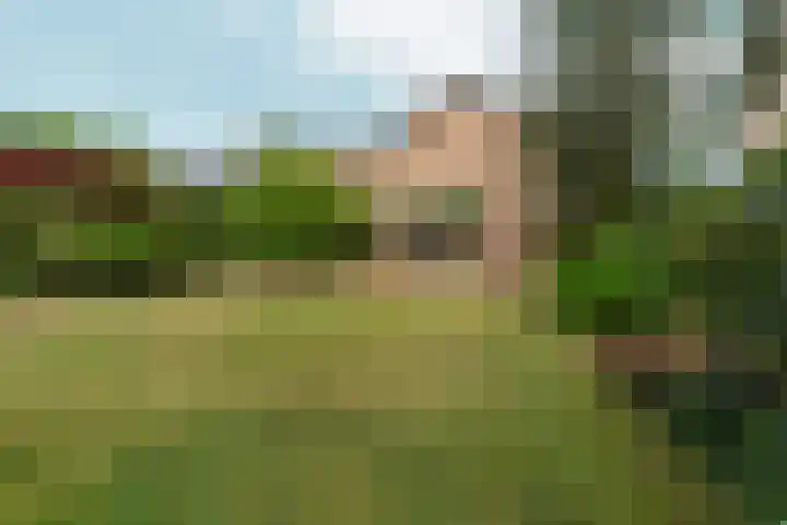Seytweg 39 Arnhem thumbnail 43