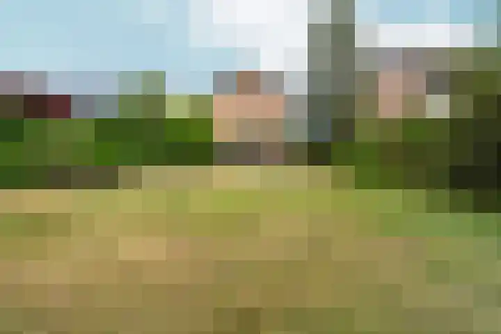 Seytweg 39 Arnhem thumbnail 45