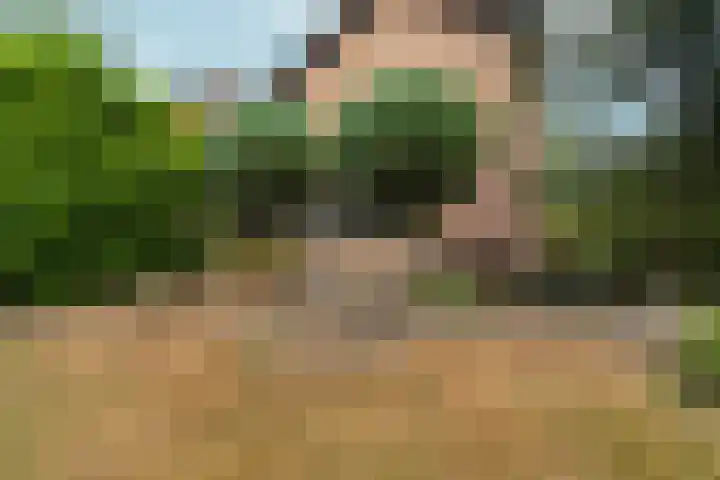 Seytweg 39 Arnhem thumbnail 46