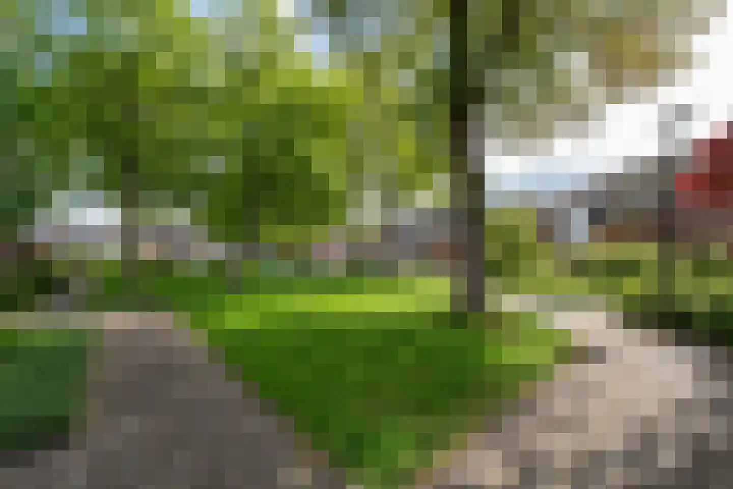 Sfeen 12 Heerhugowaard thumbnail 59