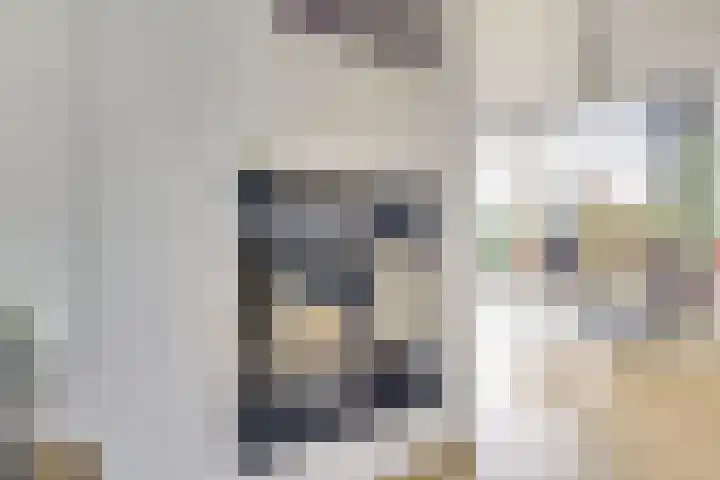 Sfinxdreef 13 Utrecht thumbnail 14