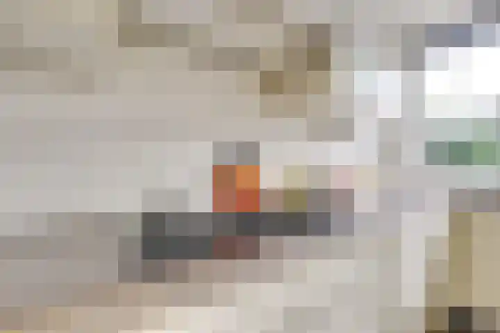 Sfinxdreef 13 Utrecht thumbnail 19