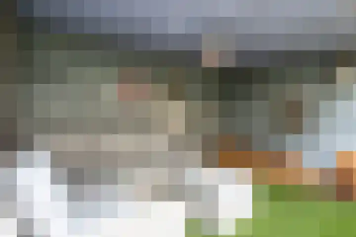 Sfinxdreef 13 Utrecht thumbnail 25
