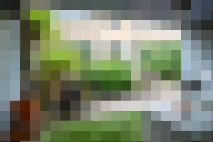 Sfinxdreef 13 Utrecht thumbnail 26