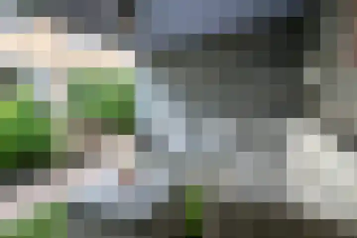 Sfinxdreef 13 Utrecht thumbnail 27
