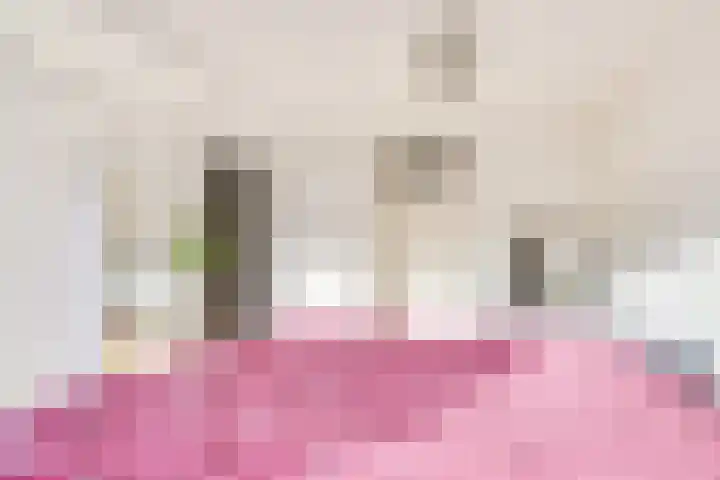 Sfinxdreef 13 Utrecht thumbnail 33