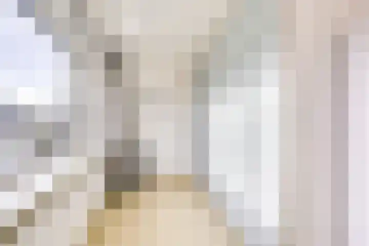 Sfinxdreef 13 Utrecht thumbnail 34