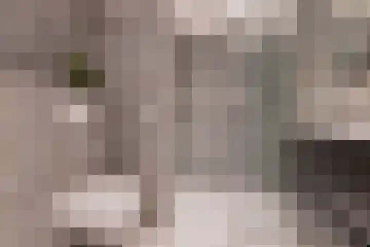 Sfinxdreef 13 Utrecht thumbnail 36