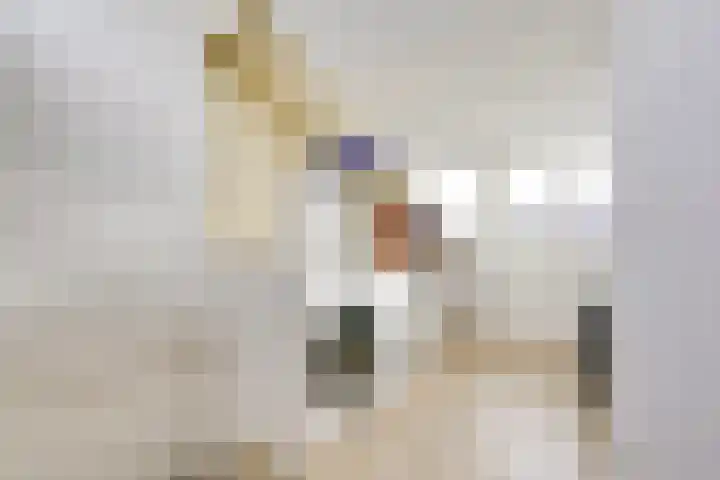 Sfinxdreef 13 Utrecht thumbnail 53