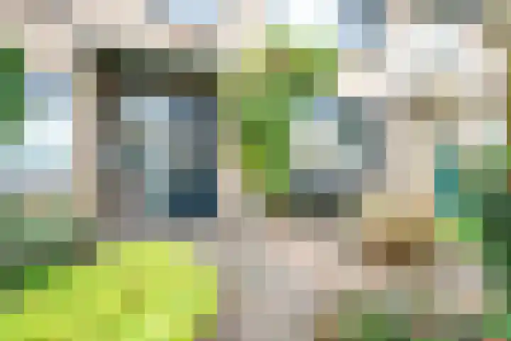 Sfinxdreef 13 Utrecht thumbnail 57