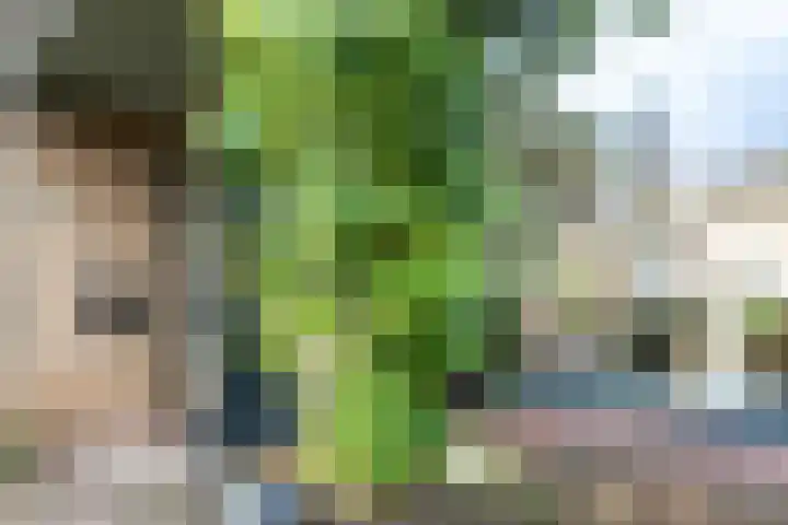 Sfinxdreef 13 Utrecht thumbnail 58