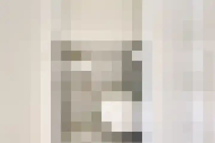 Sfinxdreef 13 Utrecht thumbnail 8