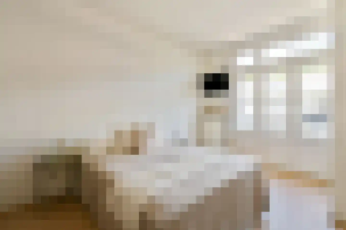 Shackletonstraat 24 3 Amsterdam thumbnail 14