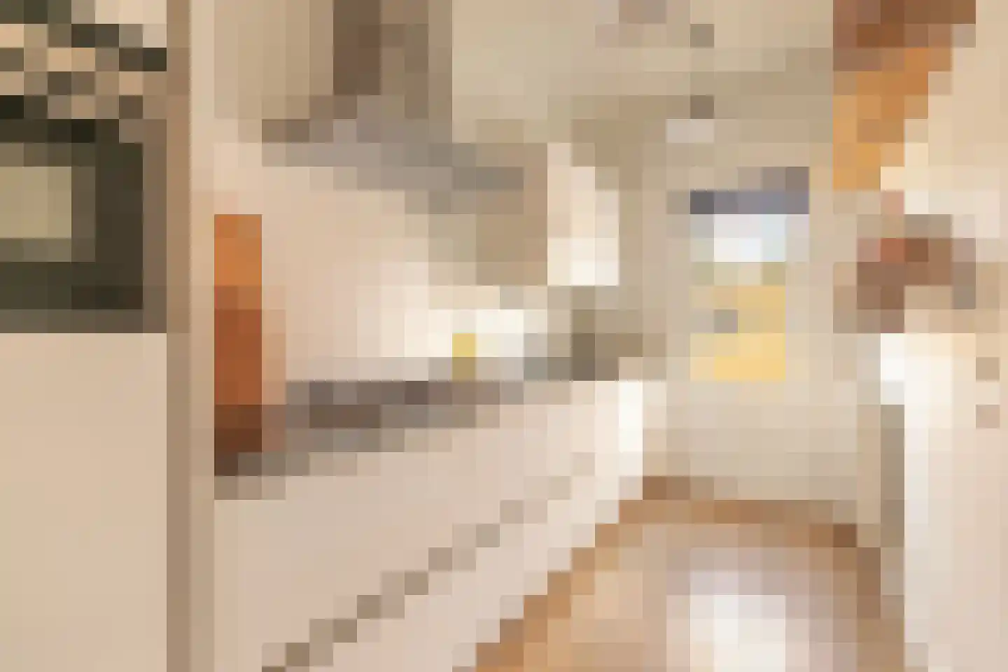 Shackletonstraat 3 3 Amsterdam thumbnail 15