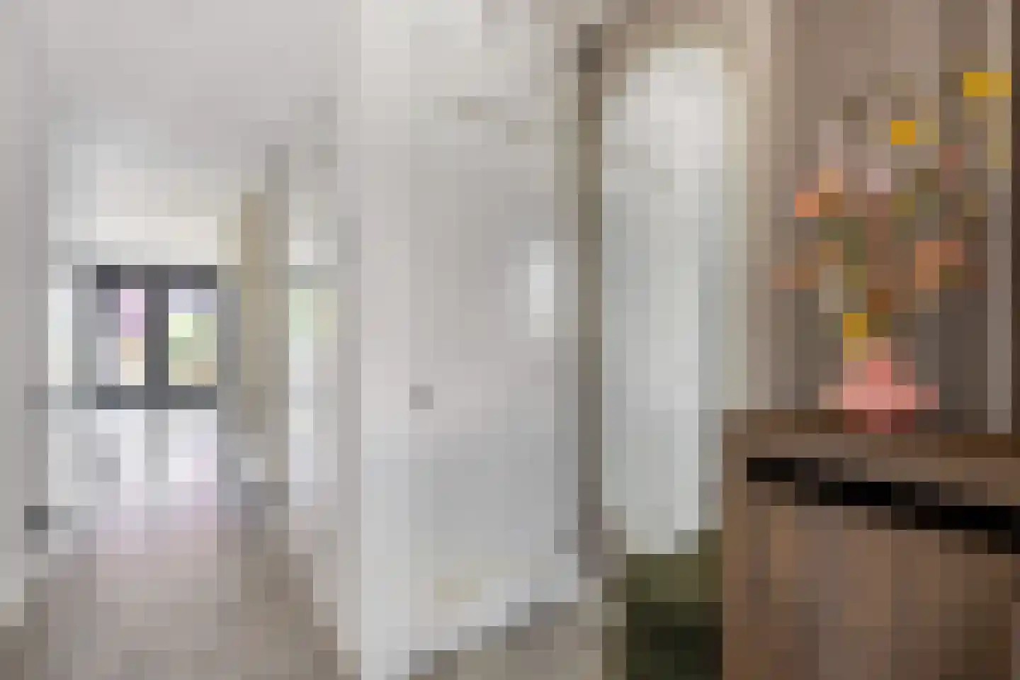 Shakespearehof 2 Utrecht thumbnail 13