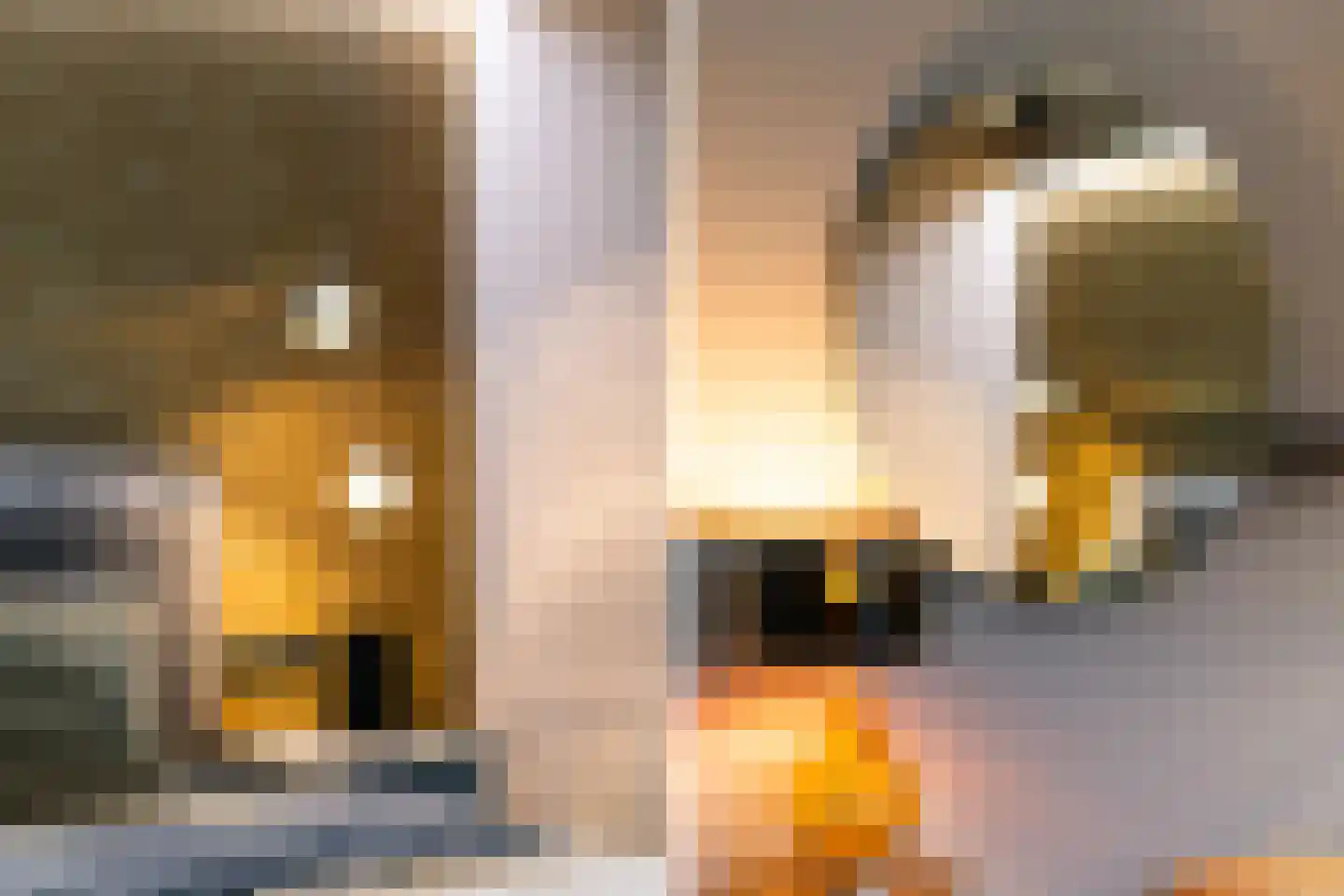 Shakespearehof 2 Utrecht thumbnail 28