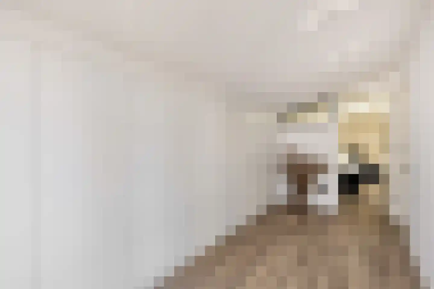 Shakespearehof 2 Utrecht thumbnail 36