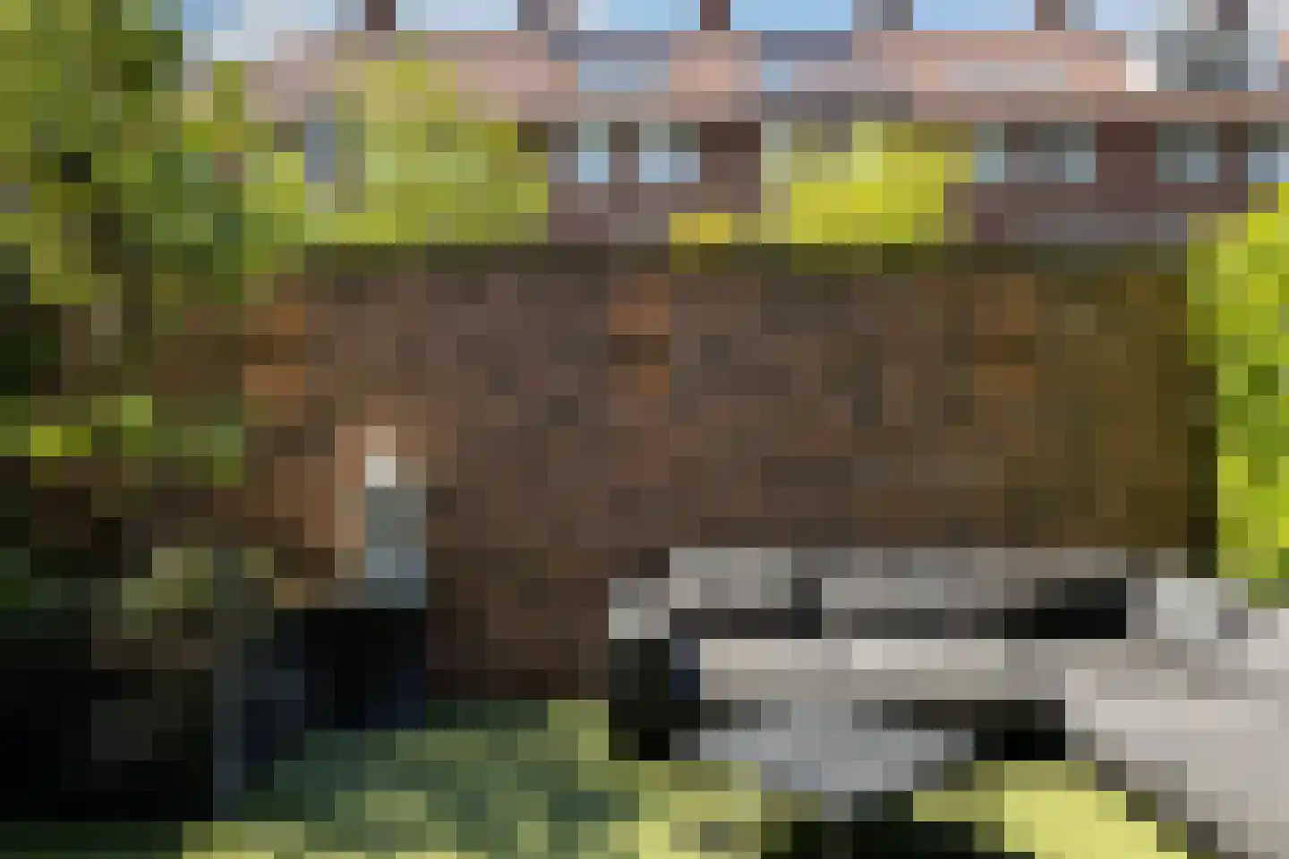 Shakespearehof 2 Utrecht thumbnail 42