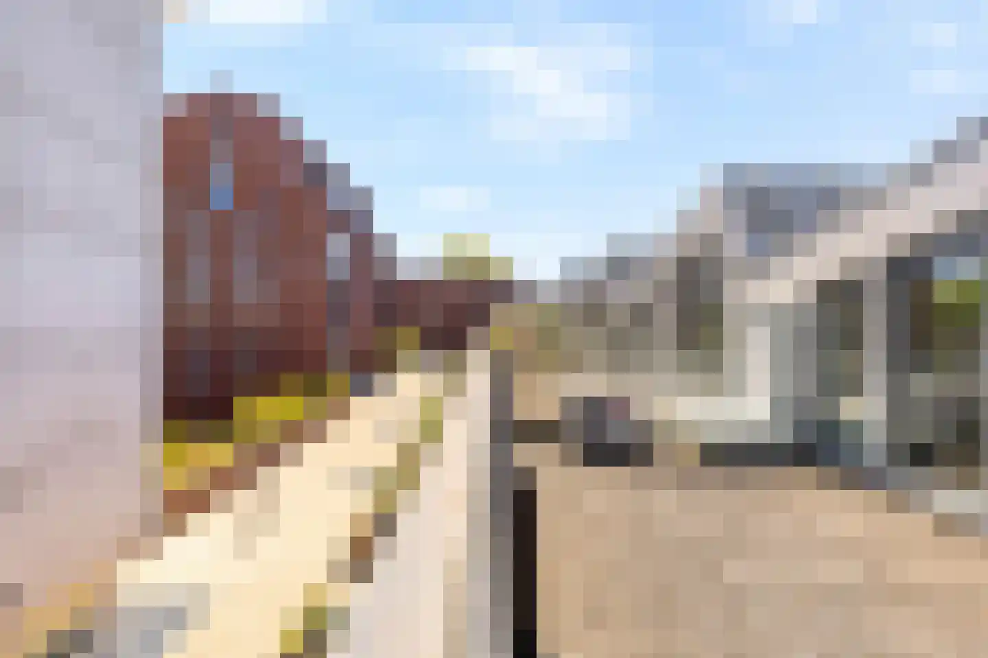 Shakespearehof 2 Utrecht thumbnail 44