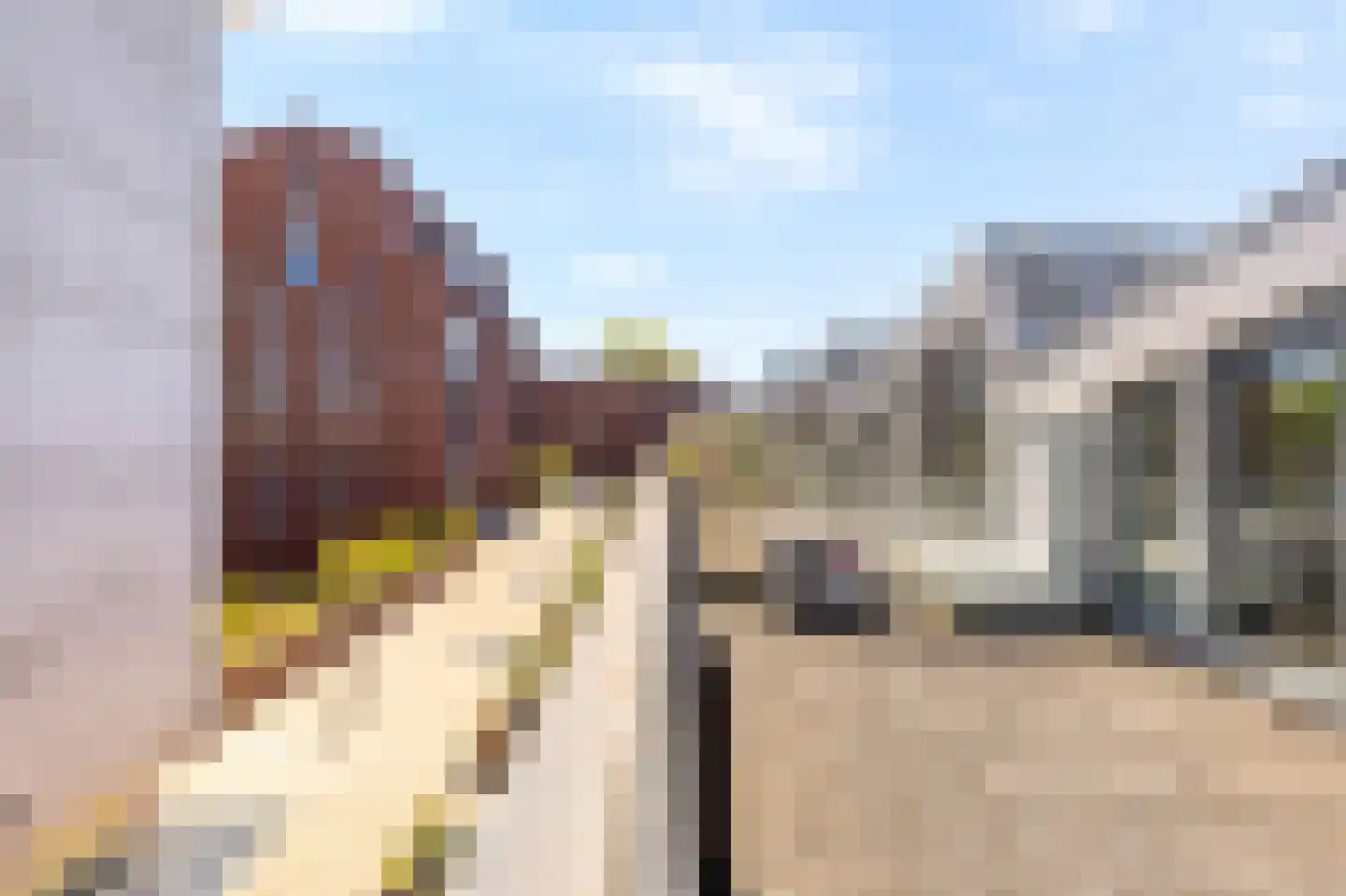 Shakespearehof 2 Utrecht thumbnail 44