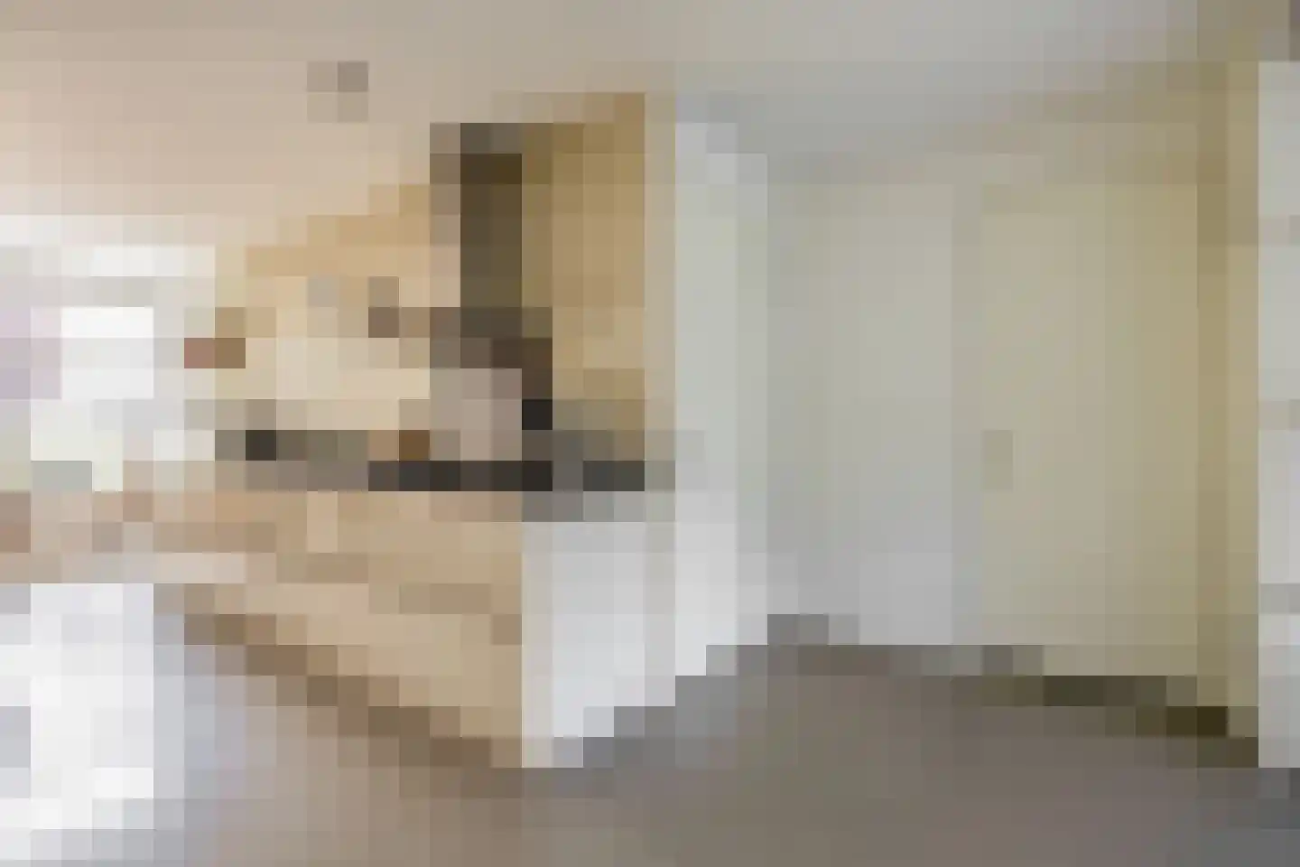 Shakespearelaan 9 Utrecht thumbnail 17